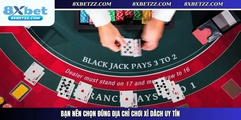 Bạn nên chọn đúng địa chỉ chơi xì dách uy tín 